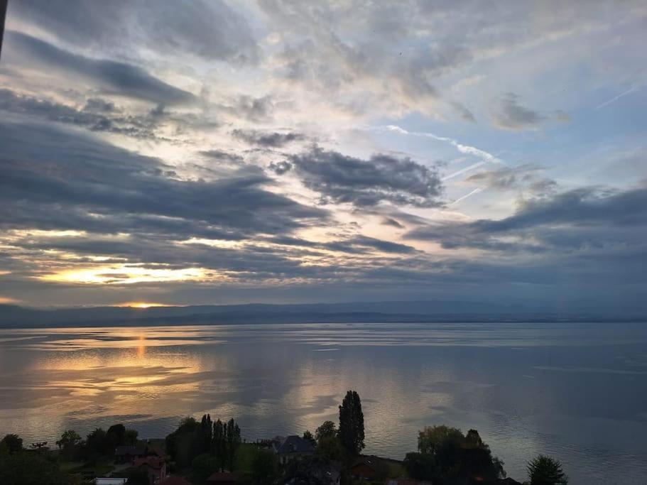 Appartement Avec Vue 180 Sur Le Lac Leman Thonon-les-Bains Exterior foto